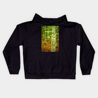 Hornbeam forest on summer Kids Hoodie